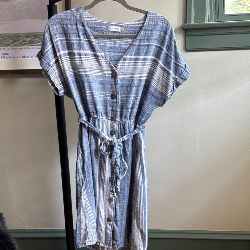 Carve Designs Blue Striped Button-Down Dress